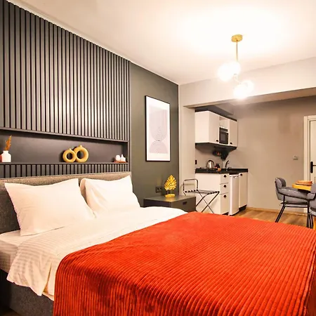 Taks-inn 伊斯坦布尔